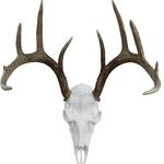 Mountain Mike's Record Keeper European Mount Kit Deer - Thumbnail 4 of 4
