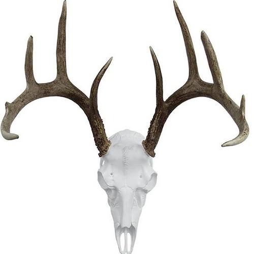 Mountain Mike's Record Keeper European Mount Kit Deer - Primary Image