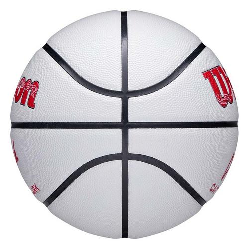 Wilson X Caitlin Clark Aspire UV Basketball - Primary Image