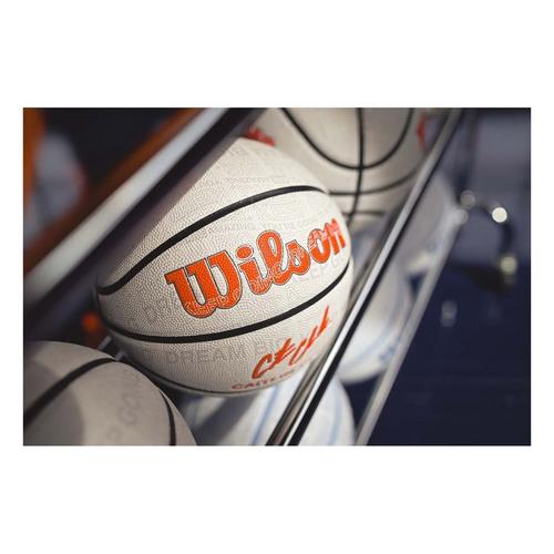 Wilson X Caitlin Clark Aspire UV Basketball - Primary Image