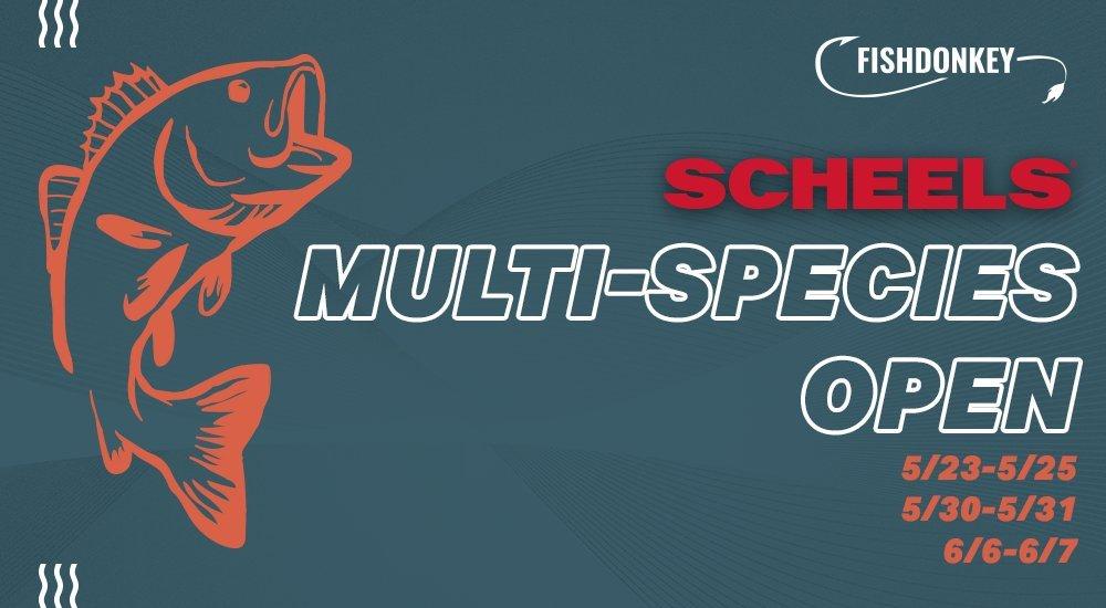 SCHEELS multi species open 
