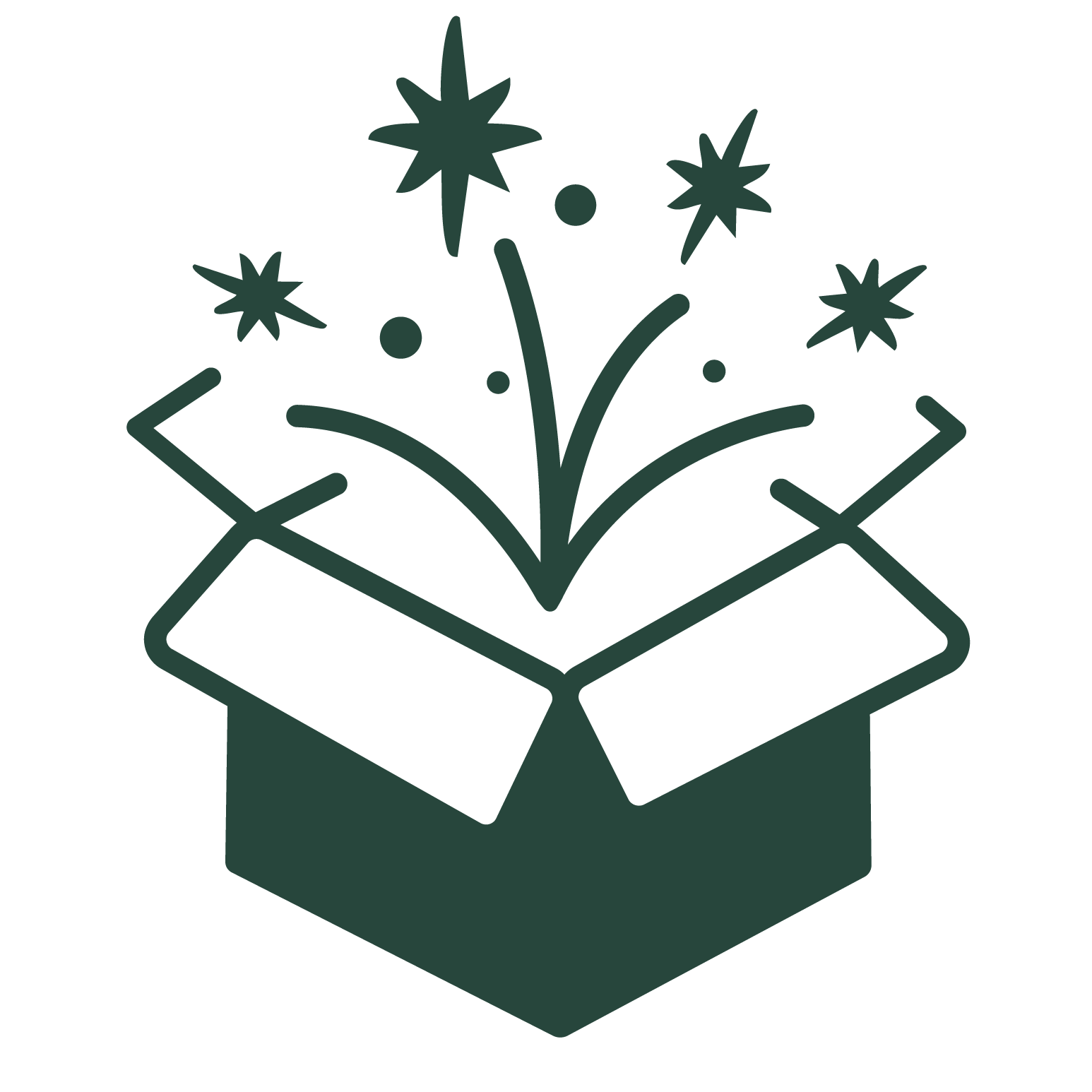 Icon of Suprise Christmas Gift