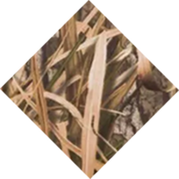 Mossy Oak Shadow Grass Habitat