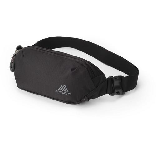 Gregory Rhune Belt Bag - Primary Image