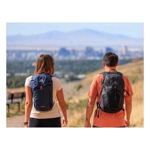 Gregory Nano 20 Backpack Tan