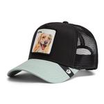 Goorin Bros. The Loyal Dog Snapback Hat - Thumbnail 1 of 6