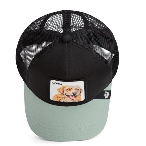 Goorin Bros. The Loyal Dog Snapback Hat - Primary Image