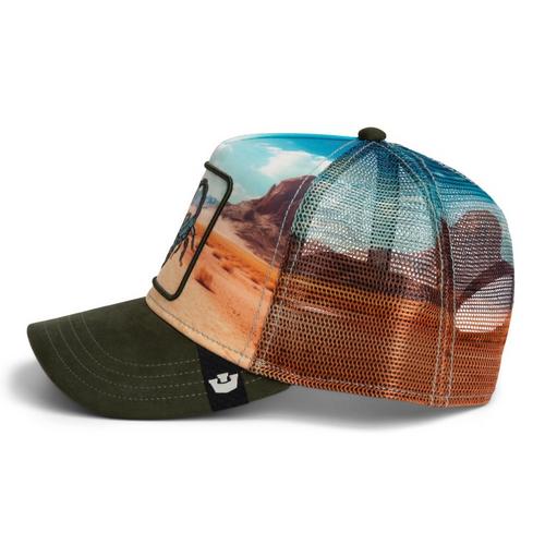 Goorin Bros. Scorpion In The Element Snapback Hat - Primary Image