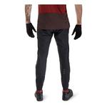 Ranger - Thumbnail 3 of 7