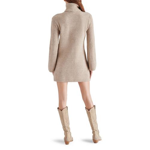 Women's Steve Madden Abbie Long Sleeve Turtleneck Sweater Dress - Primary Image
