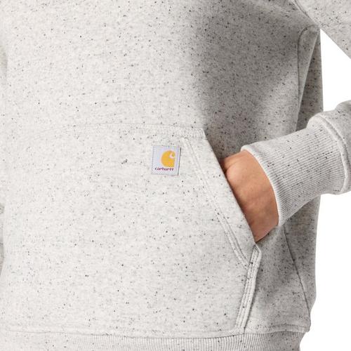 Women's Carhartt Plus Size Clarksburg Graphic Sleeve Hoodie