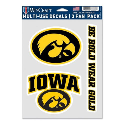 Wincraft Iowa Hawkeyes Fan 3pk Decal - Primary Image