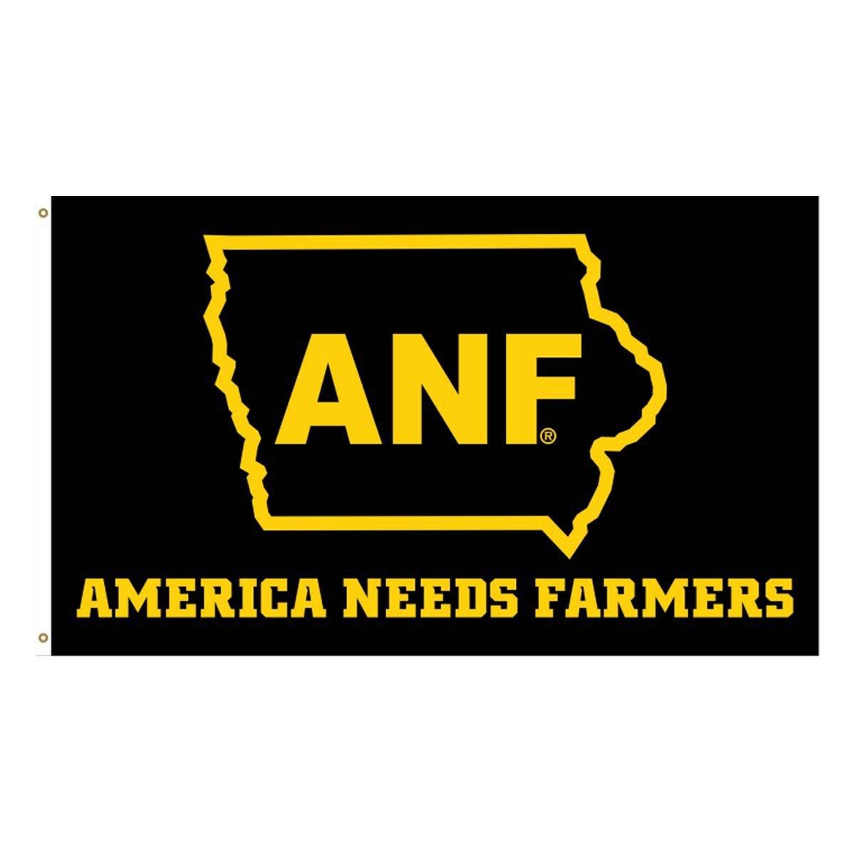 Iowa Hawkeyes Vintage ANF Flag - 3x5 Foot Polyester Made In USA