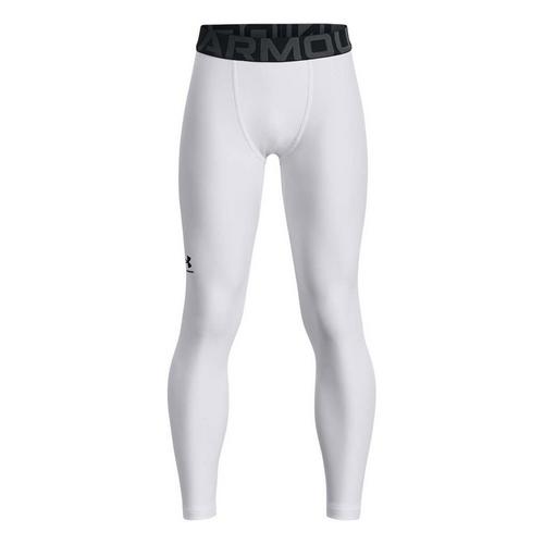 Boys' Under Armour HeatGear Armour Leggings - Primary Image