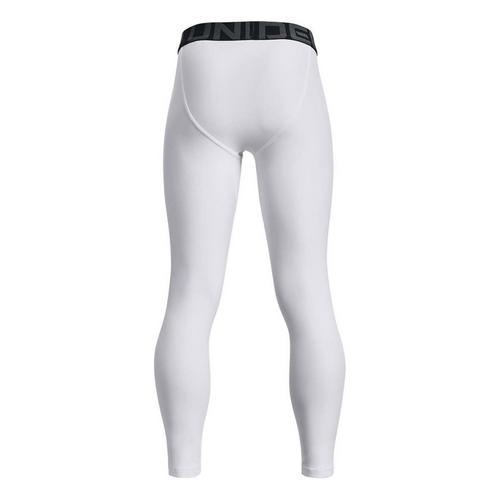 Boys' Under Armour HeatGear Armour Leggings - Primary Image