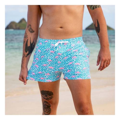 Men's Chubbies Lined 5.5" Swim Trunks - Primary Image