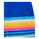 Men's Chubbies Classic Swim Trunks - Thumbnail 5 of 6