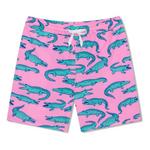 Boys' Chubbies Lined Classic Swim Trunks - Thumbnail 1 of 3