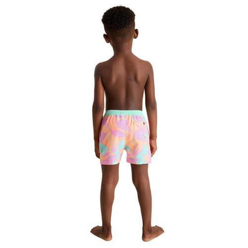 Toddler Boys' Chubbies Classic Stretch Swim Trunks - Primary Image