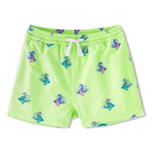 Toddler Boys' Chubbies Classic Stretch Swim Trunks - Primary Image