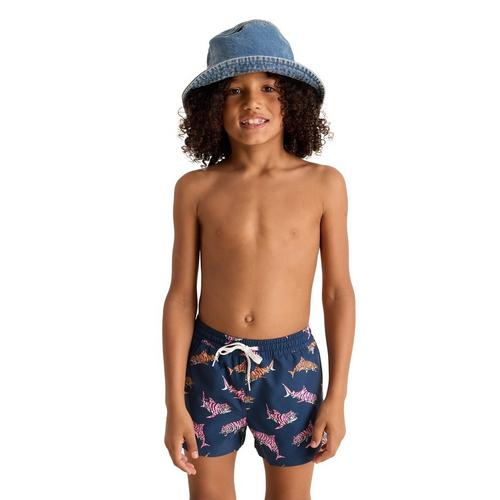 Boys' Chubbies Lined Classic Swim Trunks - Primary Image