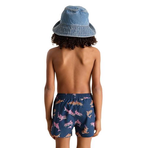 Boys' Chubbies Lined Classic Swim Trunks - Primary Image