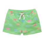 Boys' Chubbies Classic Stretch Swim Trunks - Thumbnail 1 of 2