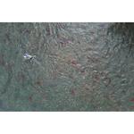 Orivs Recon Freshwater Fly Rod - Thumbnail 5 of 7