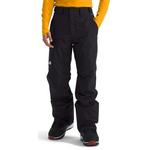 Men's The North Face Freedom Insulated Snow Pants - Thumbnail 1 of 6