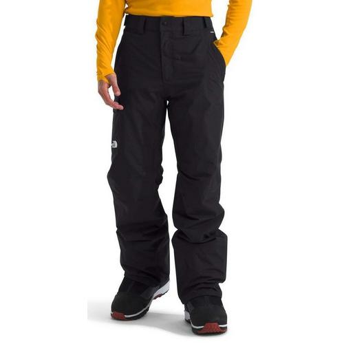 Men's The North Face Freedom Insulated Snow Pants - Primary Image