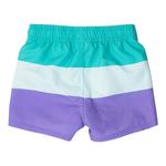 Toddler Boys' RuggedButts Marine Color Block Swim Trunks - Thumbnail 2 of 2