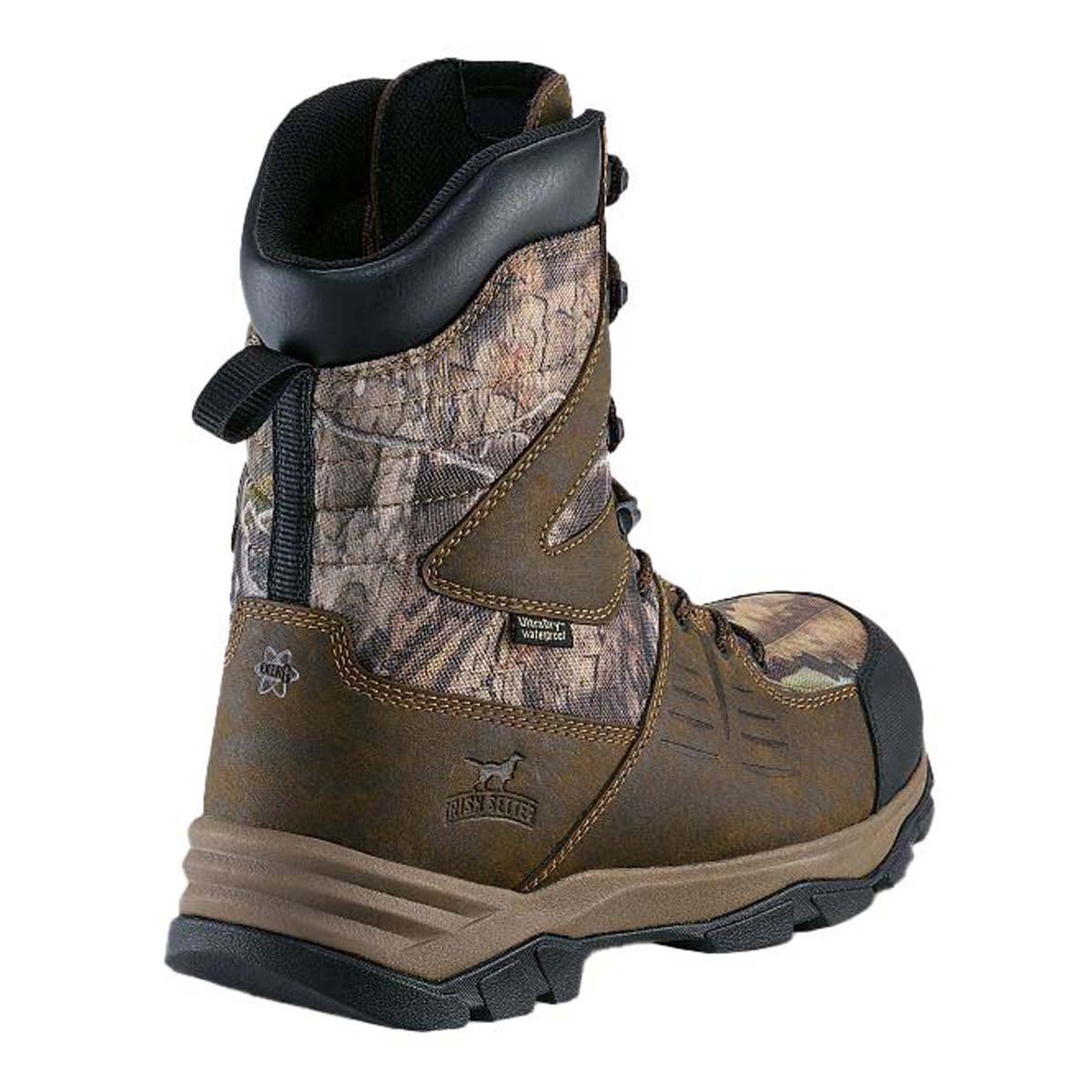 Irish Setter 10\
