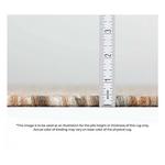 Dalyn Rug Company Abruzzo AZ1 Chocolate Rug - Thumbnail 4 of 5