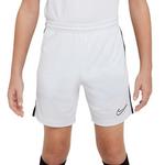 Boys' Nike Dri-FIT Academy23 Shorts - Thumbnail 1 of 4