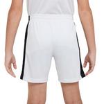 Boys' Nike Dri-FIT Academy23 Shorts - Thumbnail 2 of 4