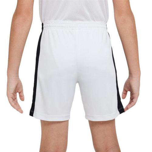 Boys' Nike Dri-FIT Academy23 Shorts - Primary Image