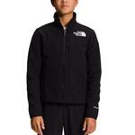 Kids' The North Face Denali Fleece Jacket - Thumbnail 1 of 10