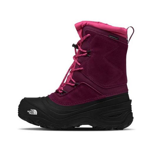Little Kids' The North Face Alpenglow V Waterproof Winter Boots - Primary Image