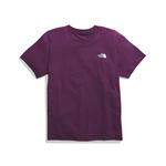 Men's The North Face Evolution Box Fit T-Shirt - Thumbnail 3 of 3