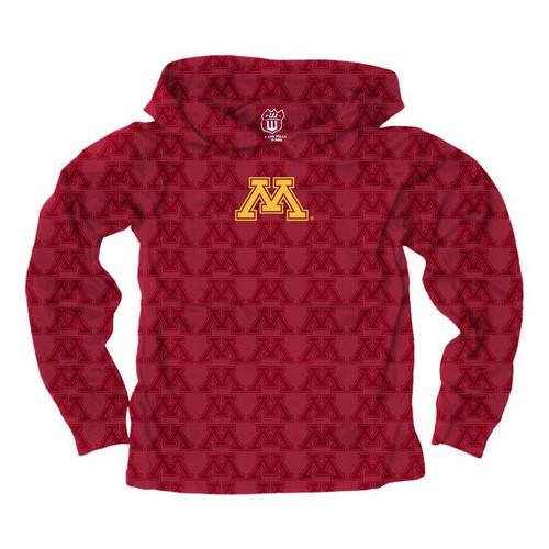 Wes and Willy Toddler Minnesota Golden Gophers All-Over Print Hoodie - Primary Image