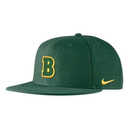 Nike North Dakota State Bison Onfield Baseball Fitted Hat