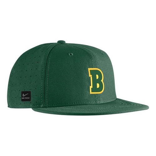 Nike North Dakota State Bison Onfield Baseball Fitted Hat