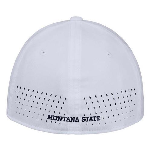 Nike Montana State Bobcats DriFit Flex Flexfit Hat - Primary Image
