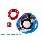 Sea Clear Power Walleye Boat Wiring Harness - Thumbnail 3 of 4