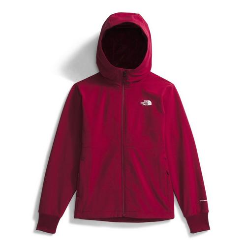 Women's The North Face Shelbe Raschel Hooded Softshell Jacket - Primary Image