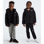 Toddler The North Face Down Fleece-Lined Hooded Puffer Parka - Thumbnail 1 of 2