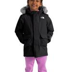 Toddler The North Face Arctic Hooded Parka - Thumbnail 3 of 4