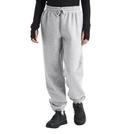 Women's The North Face Evolution Sweatpants