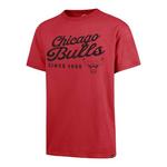 47 Brand Chicago Bulls Dust Carrick T-Shirt - Thumbnail 1 of 2