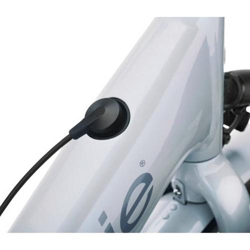 Trek 2026 Townie Go! Electric Cruiser Bike - Primary Image